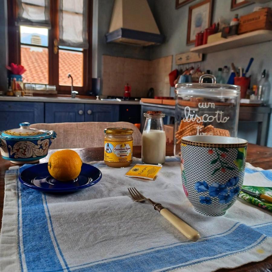 דירות קמאיורה La Casa Di Ciaccia מראה חיצוני תמונה