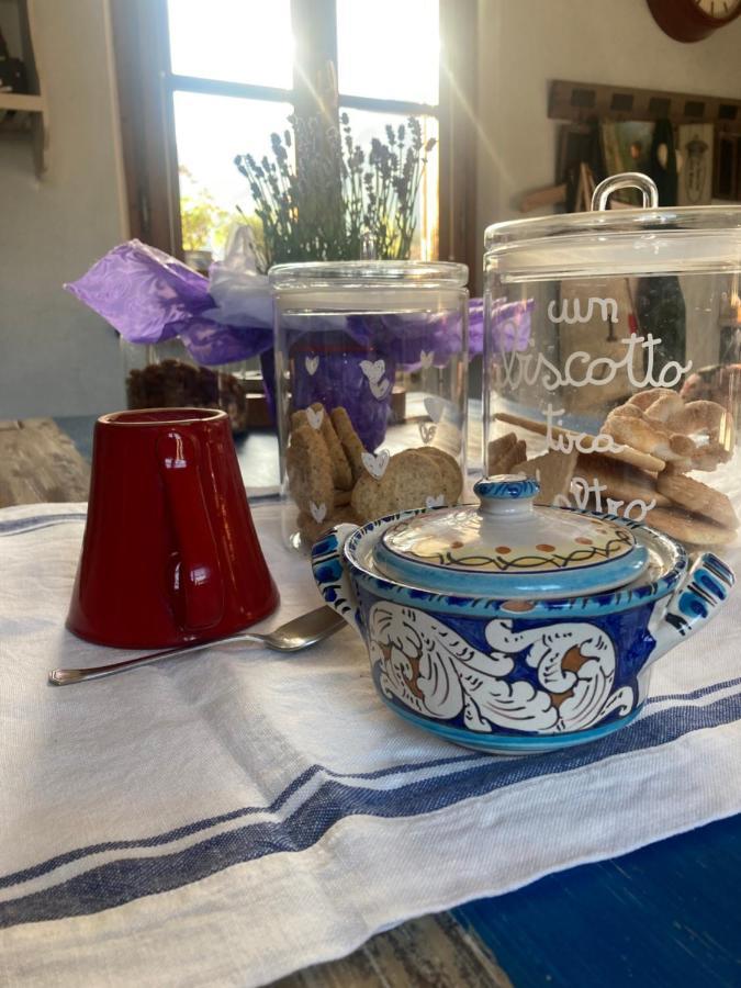 דירות קמאיורה La Casa Di Ciaccia מראה חיצוני תמונה